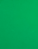 Waste Management / Sanitation Green Acrylic 1K or 2K Single Stage Paint Gallon Size